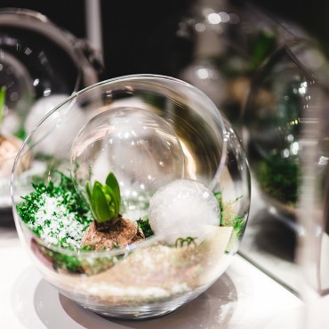 攻击网站的方法